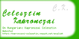 celesztin kapronczai business card